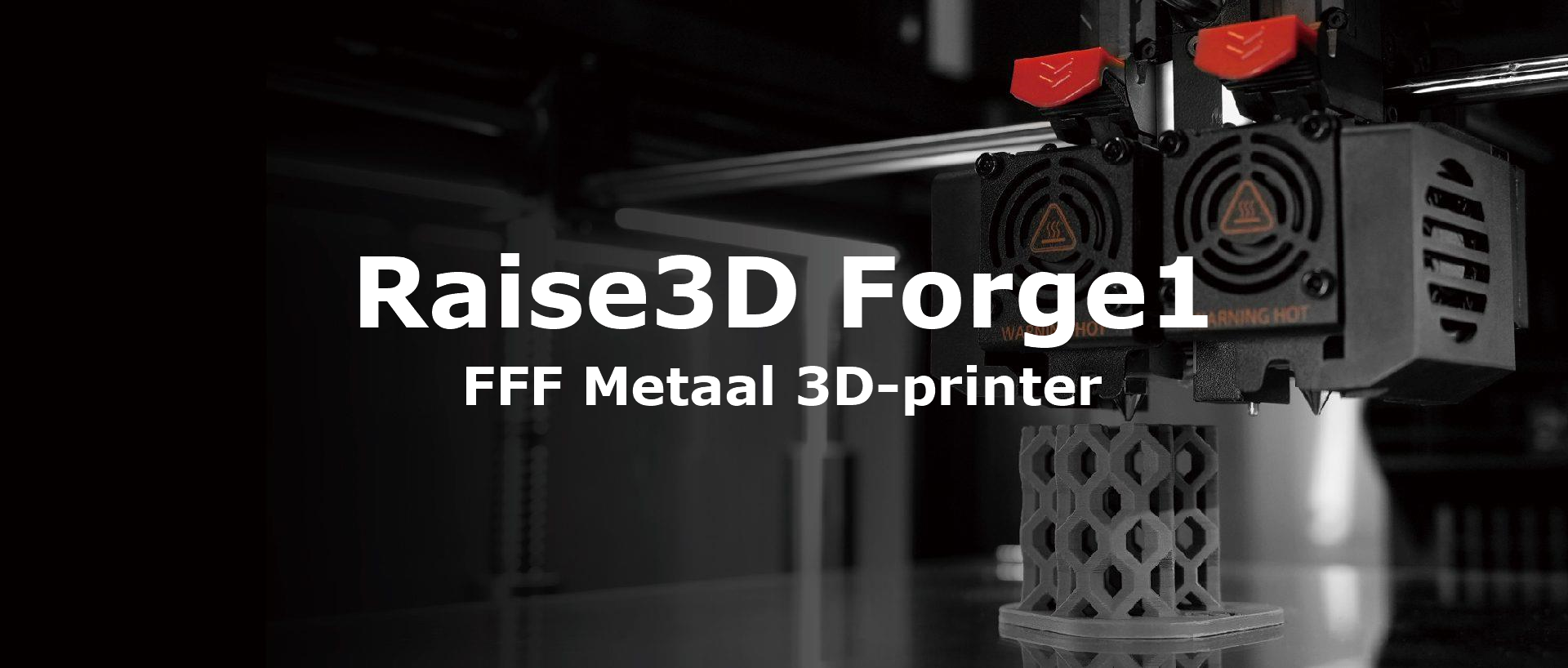 Raise3D Forge1 FFF Metaal 3D-printer