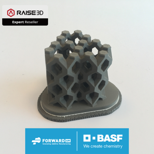 BASF Debinding & Sintering voucher Raise3D / Bits2Atoms